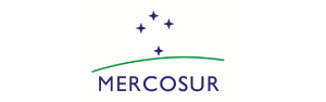 Participación de la CIALI en LXIX Reunión Ordinaria del Subgrupo de Trabajo N°3 MERCOSUR